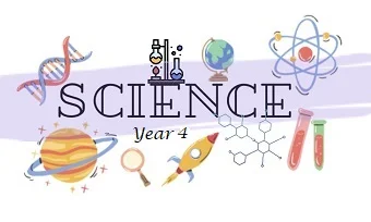 Science Year 4